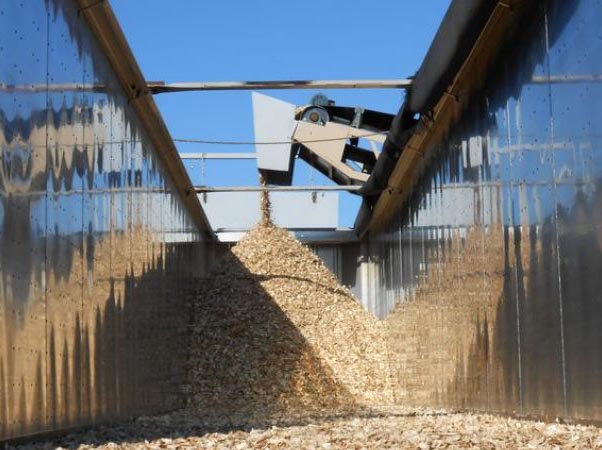 Another view of screened chips