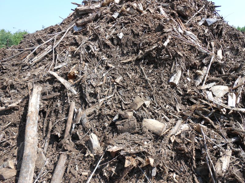 Bark
