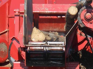 Wood being fed through chipper