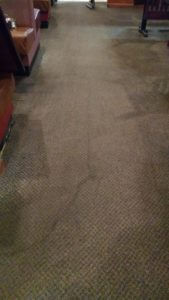 Carpet Cleaning in Eau Claire, WI