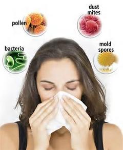 Allergies and Indoor Air Quality 