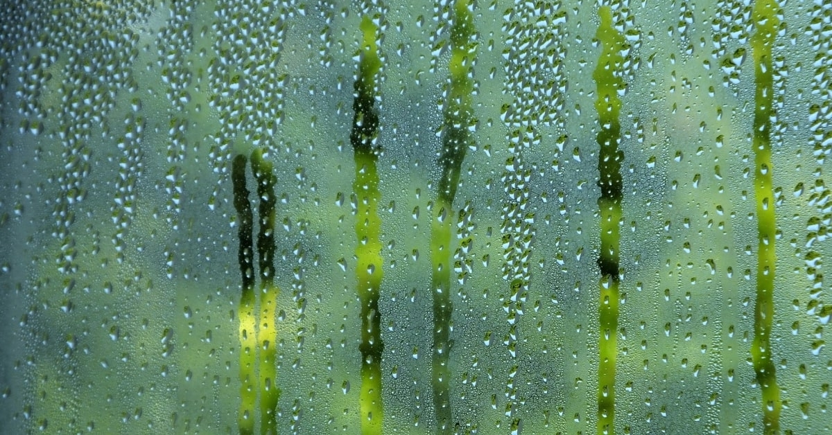 Hot Outside and Cold Inside – How Condensation Can Cause Problems in Your Home Hot Outside and Cold Inside – How Condensation Can Cause Problems in Your Home