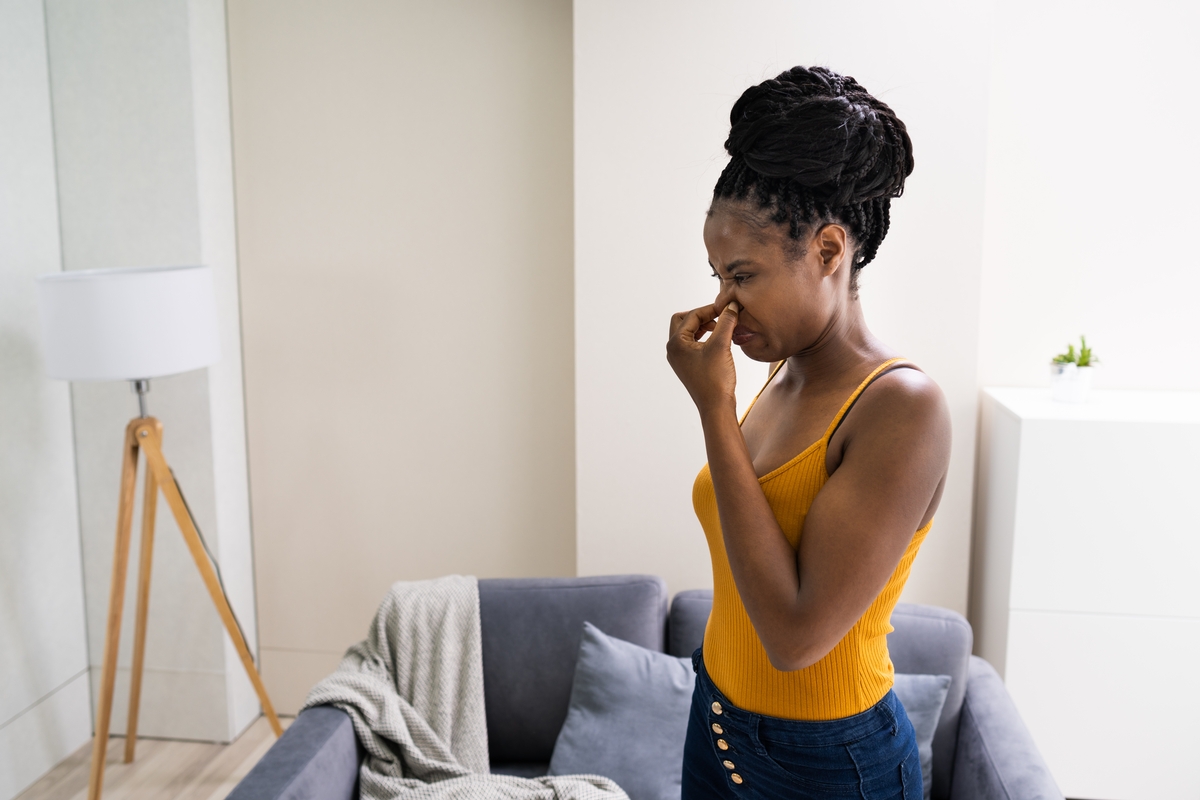 Mold Removal in Your Home Mold Removal in Your Home