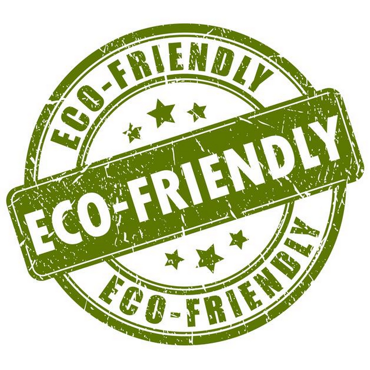 The Green Recovery Journey: Sustainable Practices in Today's Restoration Services