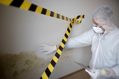 Mold Madness: Top 7 Misconceptions Debunked for a Safer Home