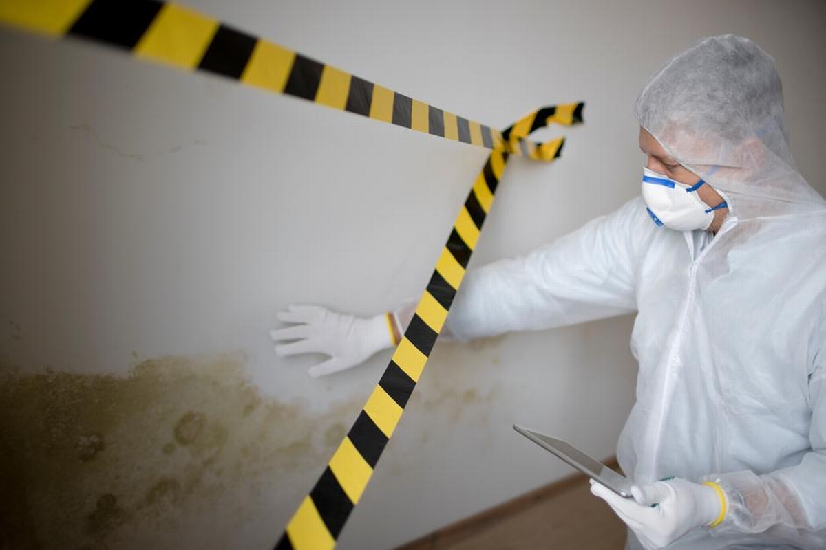 Mold Madness: Top 7 Misconceptions Debunked for a Safer Home