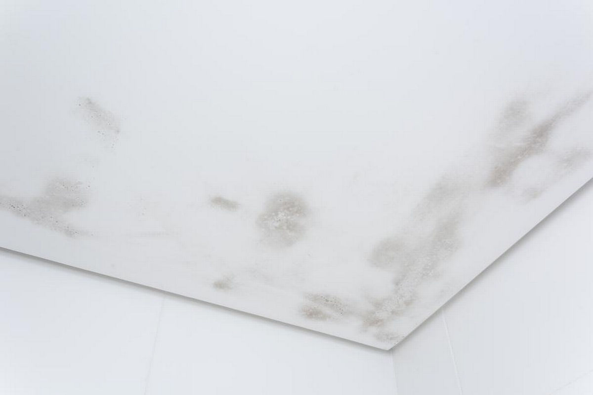 Mold Spots on Ceiling: Signs of Moisture Problems