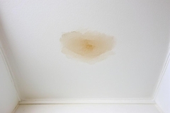 Water Damage Above Shower and How to Address It