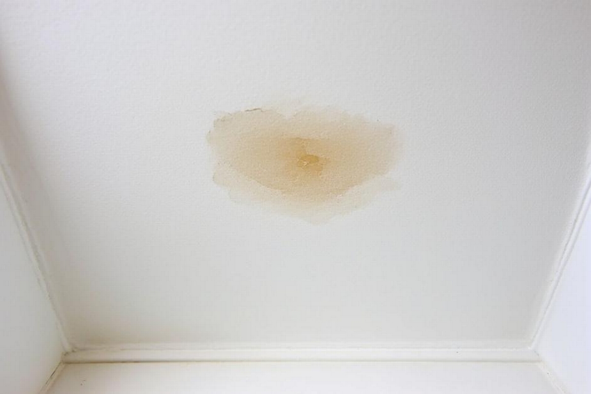 Water Damage Above Shower and How to Address It