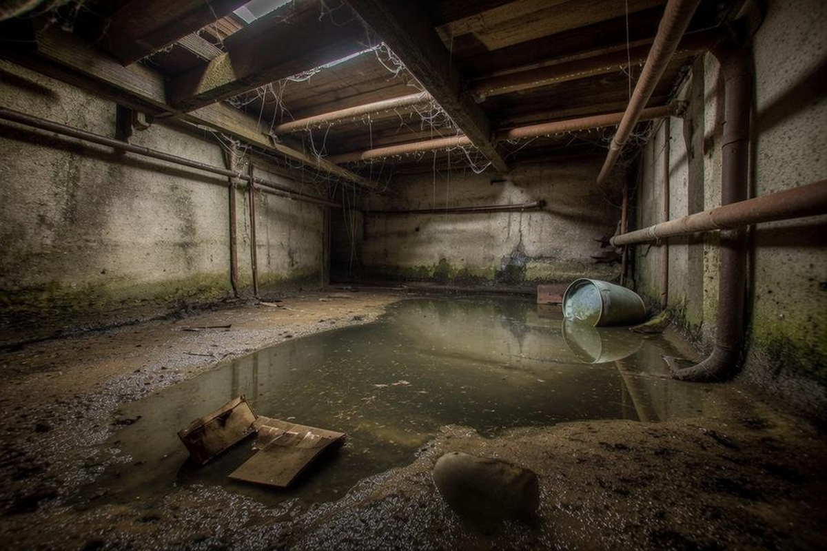 Types of Water Damage in Crawl Space and Why They Matter