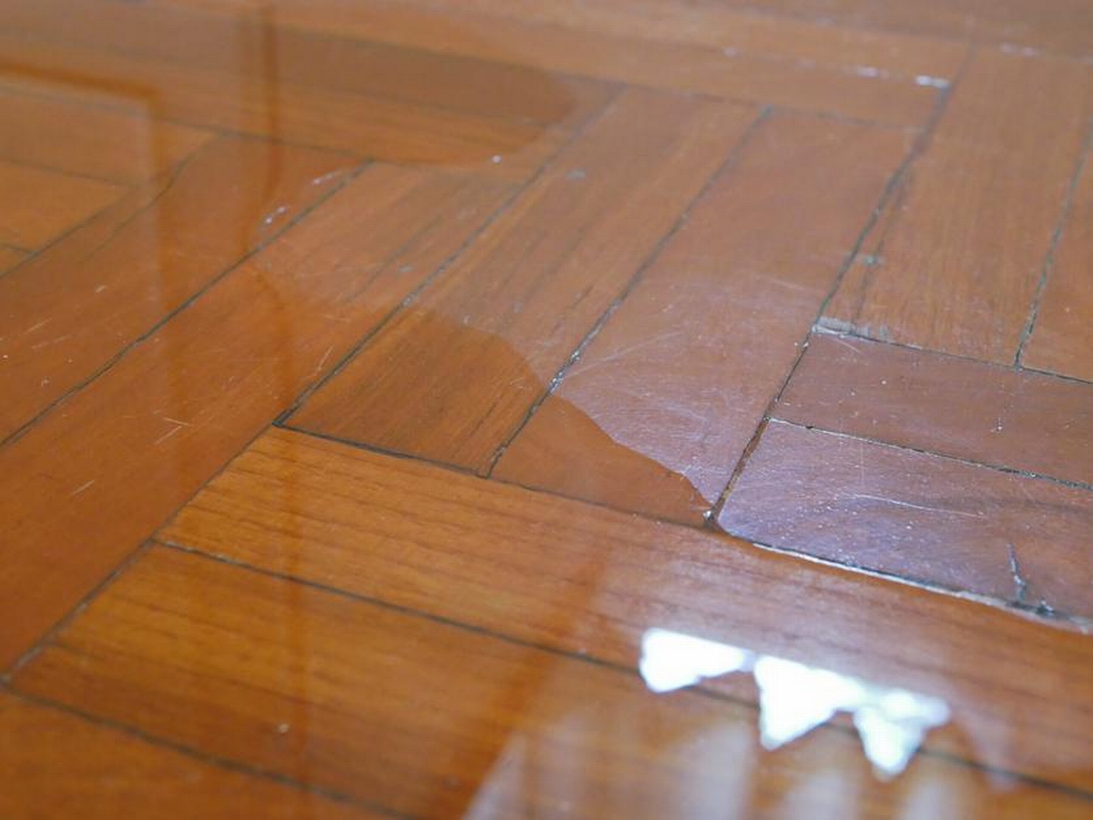 How to Remove Water Damage from Wood - Your Questions Answered