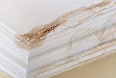 What to Look For - Signs of Basement Water Damage You Can't Ignore