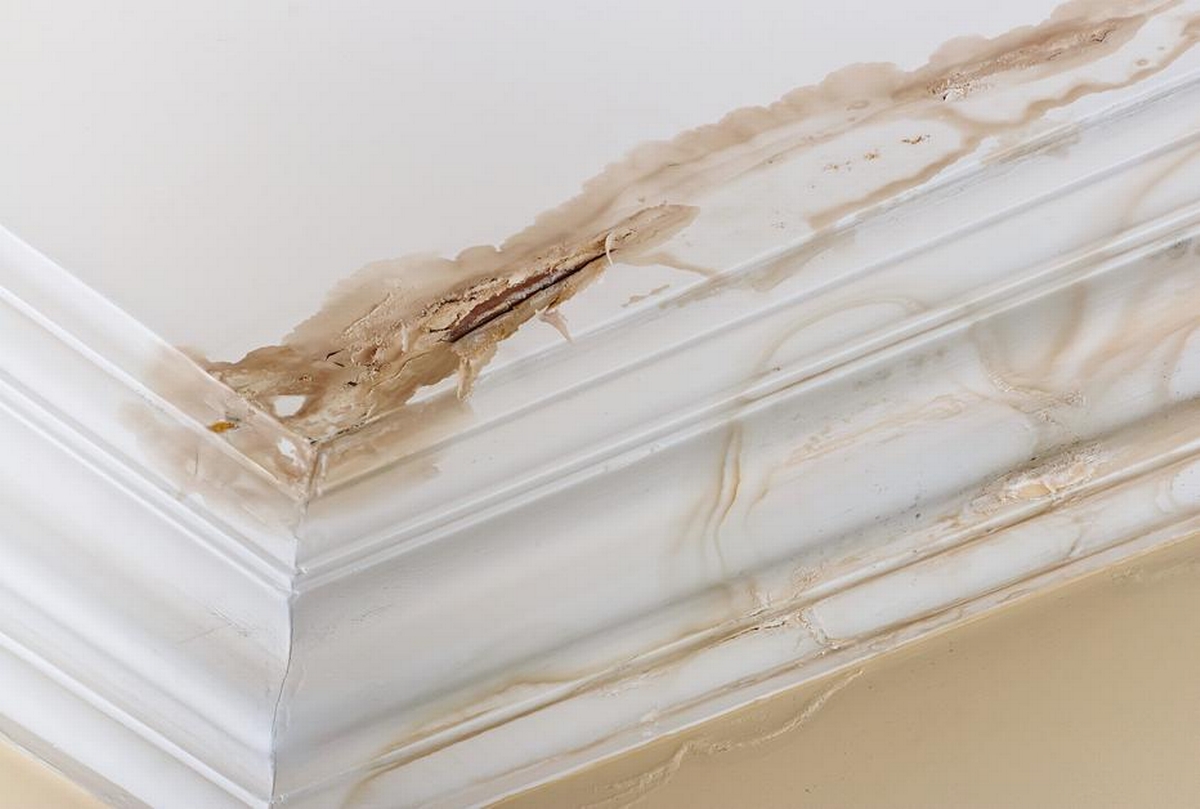 What to Look For - Signs of Basement Water Damage You Can't Ignore