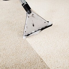After Carpet Cleaning, How Long Does It Take to Dry?