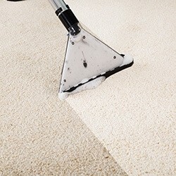 After Carpet Cleaning, How Long Does It Take to Dry?
