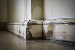Water Damaged Baseboard: Signs and Fixes