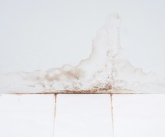 Repair Bathroom Wall Water Damage Before It Spreads