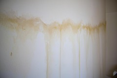 Early Signs of Water Damage in Walls to Watch For