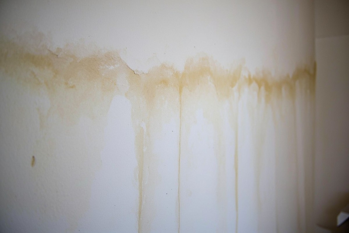 Early Signs of Water Damage in Walls to Watch For