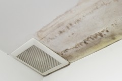How to Stop Mold After Water Leak