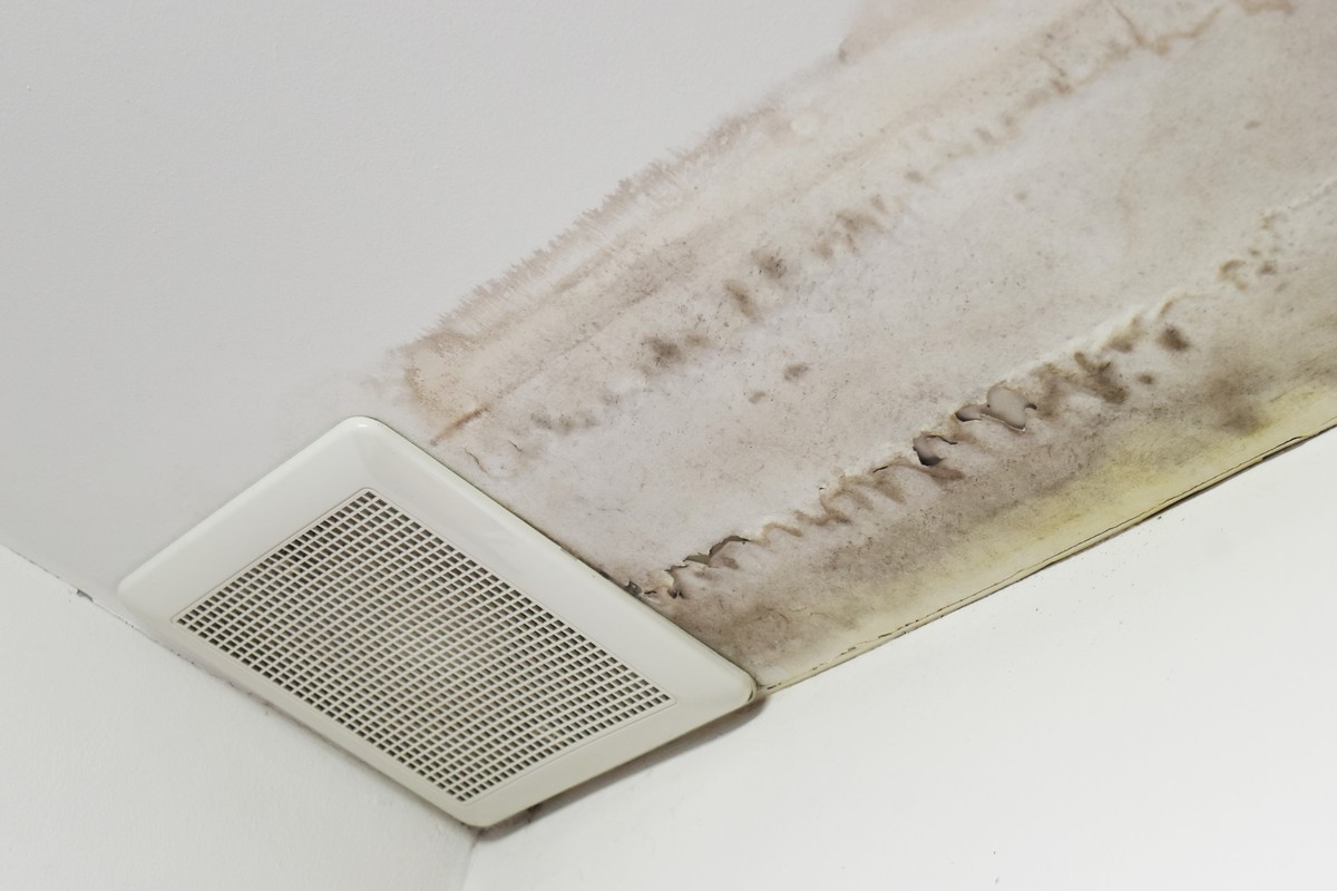 How to Stop Mold After Water Leak