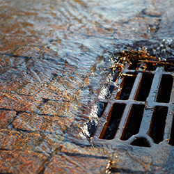 Sewage Cleanup in Eau Claire, WI