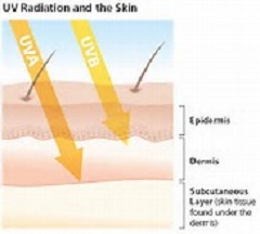 May is Skin Cancer Awareness Month