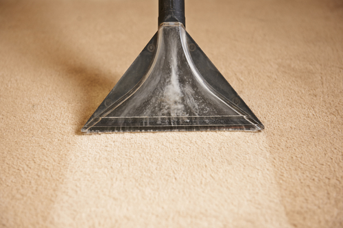 Professional Carpet cleaning in Bloomer, WI
