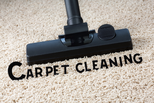 Carpet cleaning in Cameron, WI